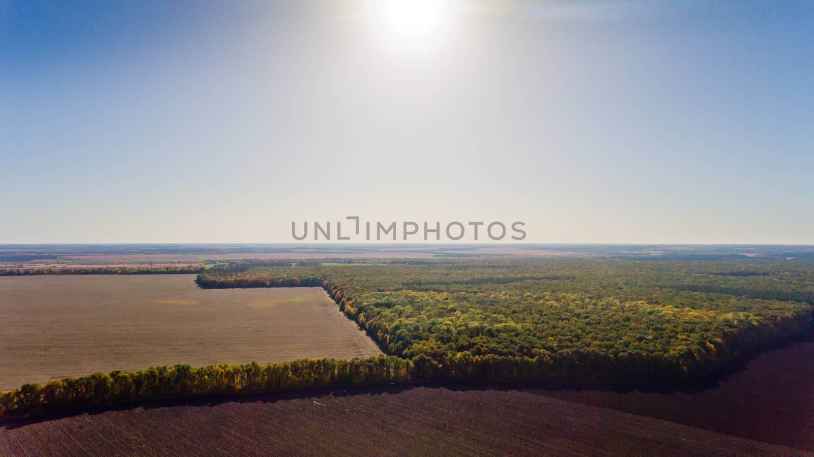 Autumn landscape: blue sky, colorful trees, yellow fields. Aerial view.