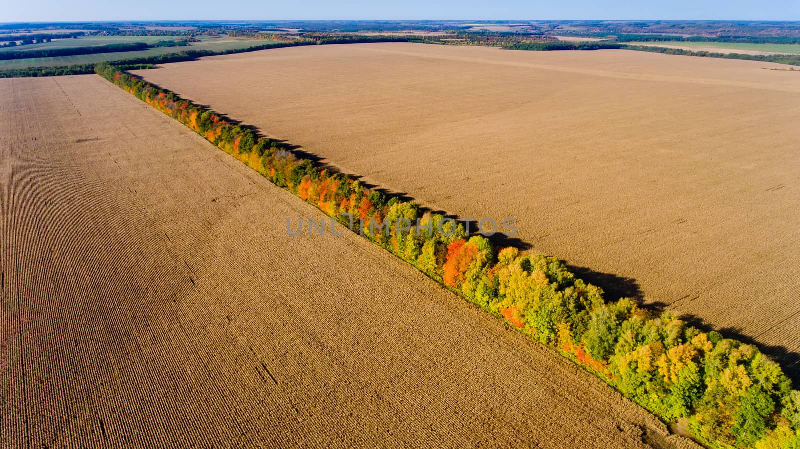 Aerial view of multi-colored autumn trees share plowed fields.