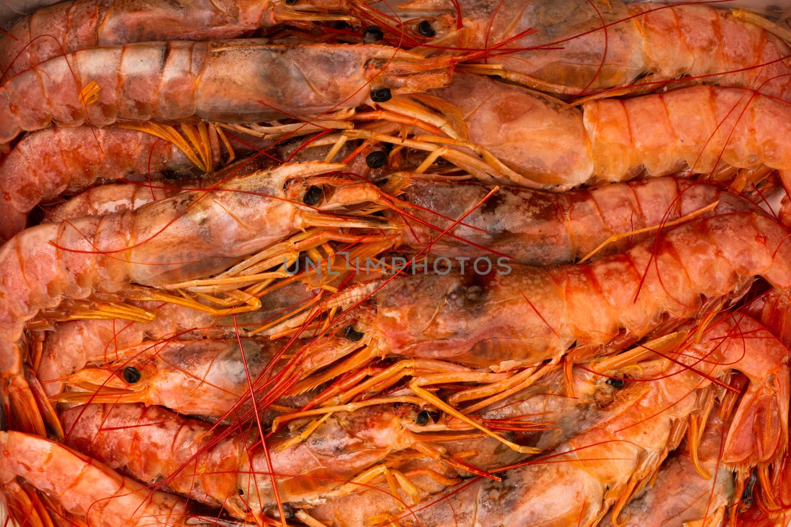 Raw shrimp langostino background by destillat