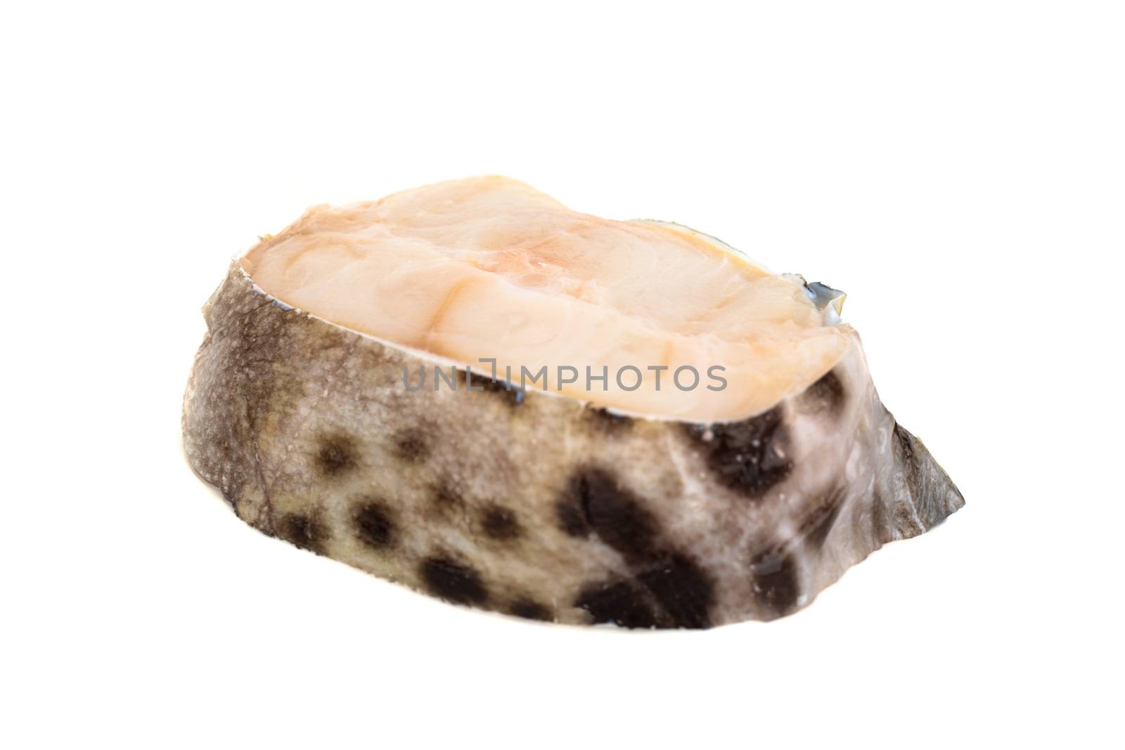 Raw catfish steak meat isolated by destillat