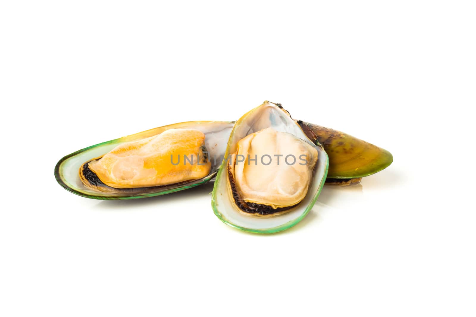 New Zealand greenshell mussels by destillat