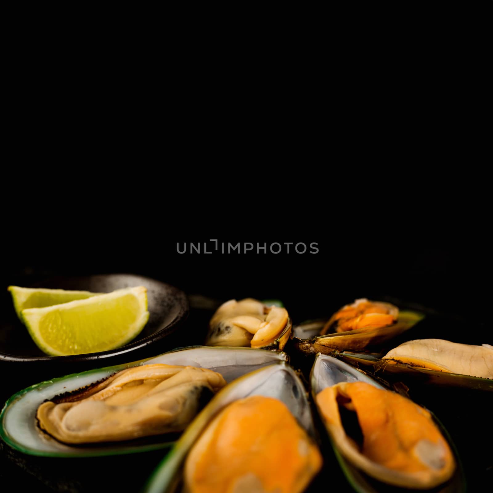 New Zealand greenshell mussels on black stone plate isolated on black background and lime stylish luxury studio shot