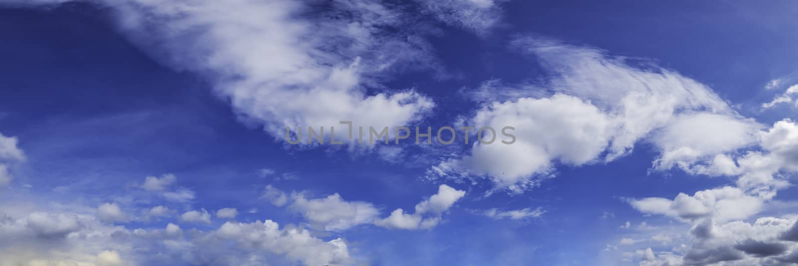 Panorama sky with cloud on a sunny day. Beautiful cirrus cloud.