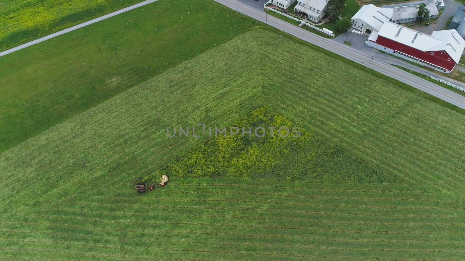 An aerial shot of an Amish farmer harvesting crop