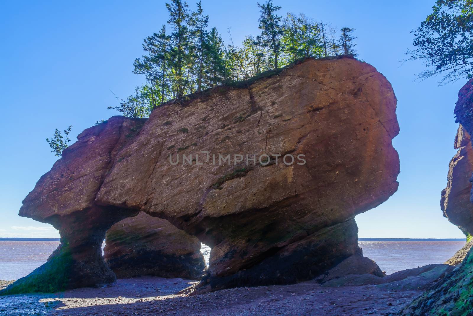 View of Hopewell Rocks (elephant rock) at low tide, New Brunswick, Canada
