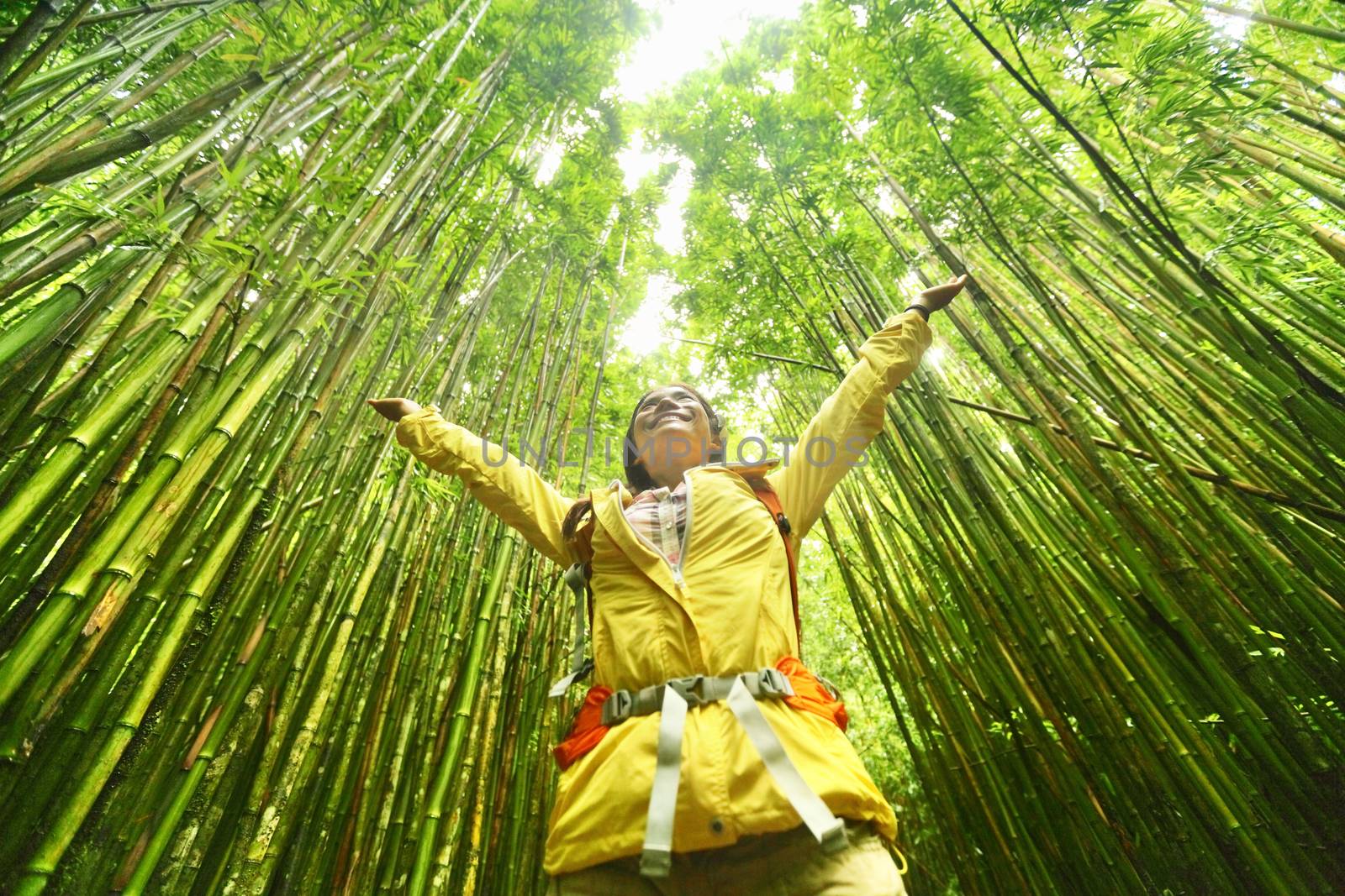 Bamboo forest nature woman environment freedom with open arms in success. Environmental eco friendly sustainability concept. Hiker hiking on Pipiwai Trail on famous road to hana travel, Maui, Hawaii.