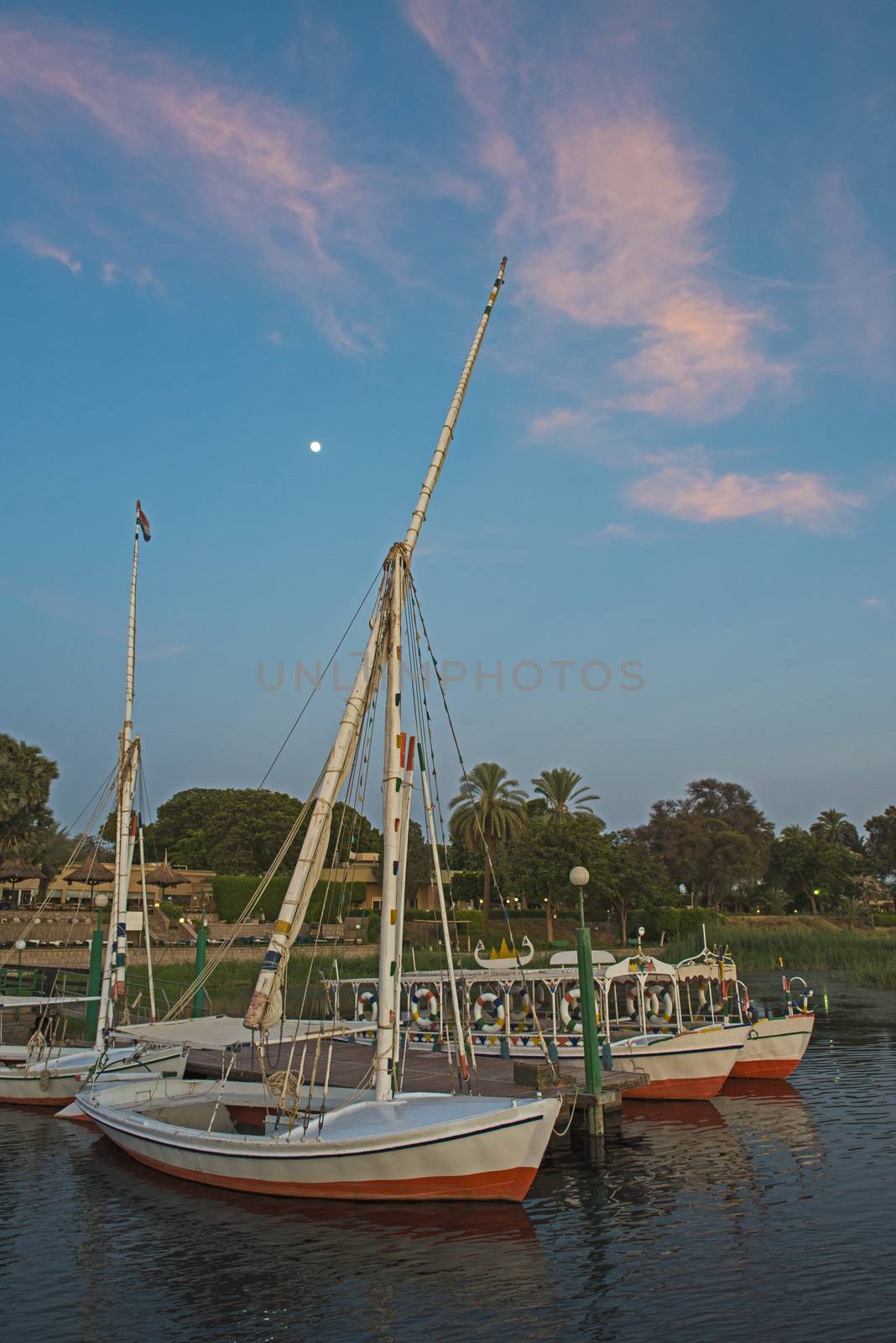 Traditional Egyptian wooden felluca boats moored at a small jetty in the evening on tropical river bank