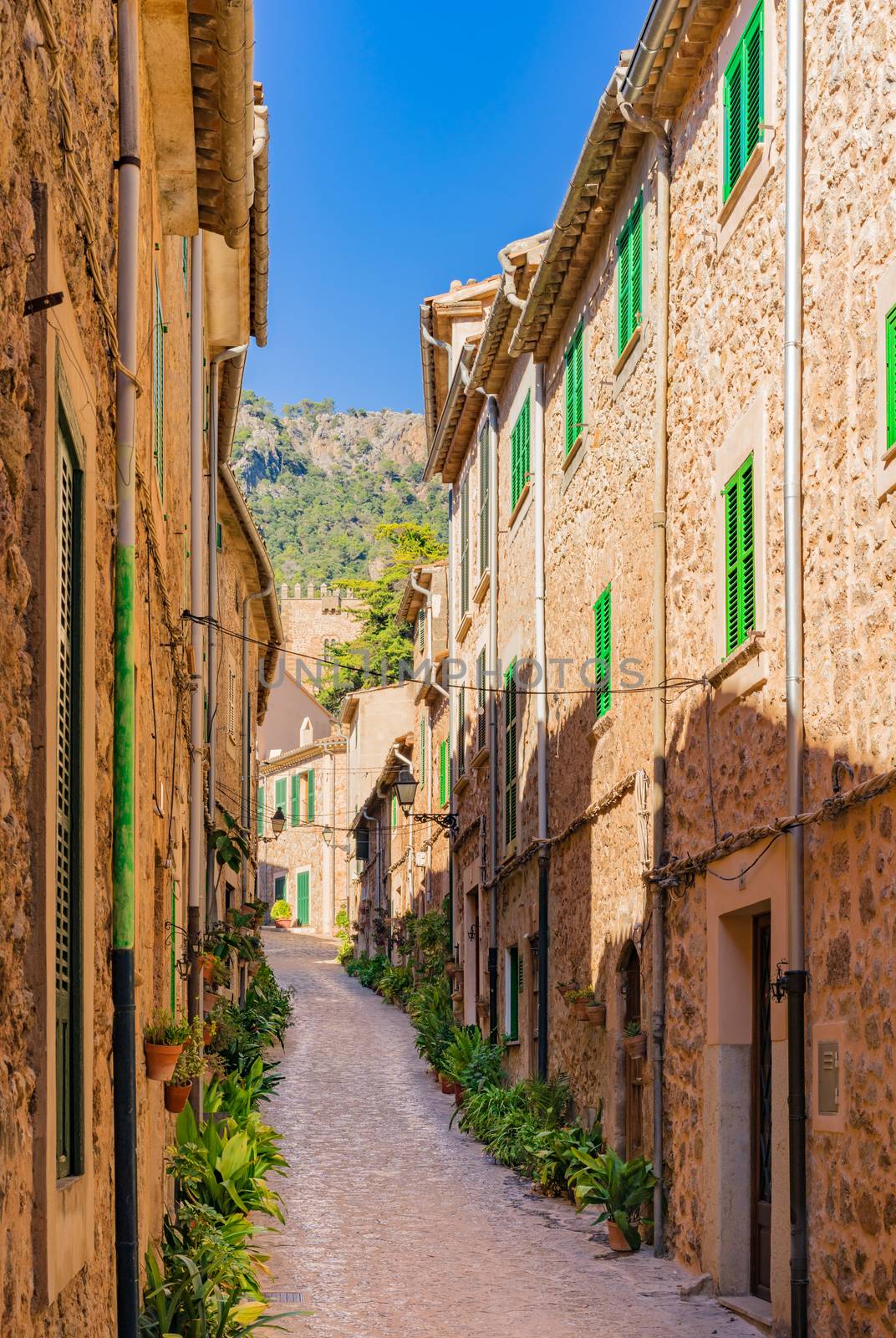 Majorca Spain, plant street in the old village Valldemossa  by Vulcano