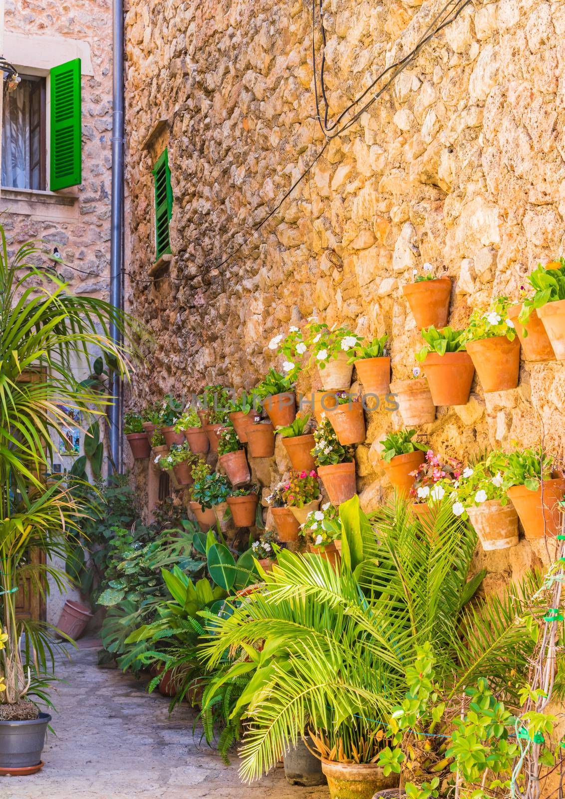 House wall with flower pots in Valldemossa village on Mallorca, Spain by Vulcano