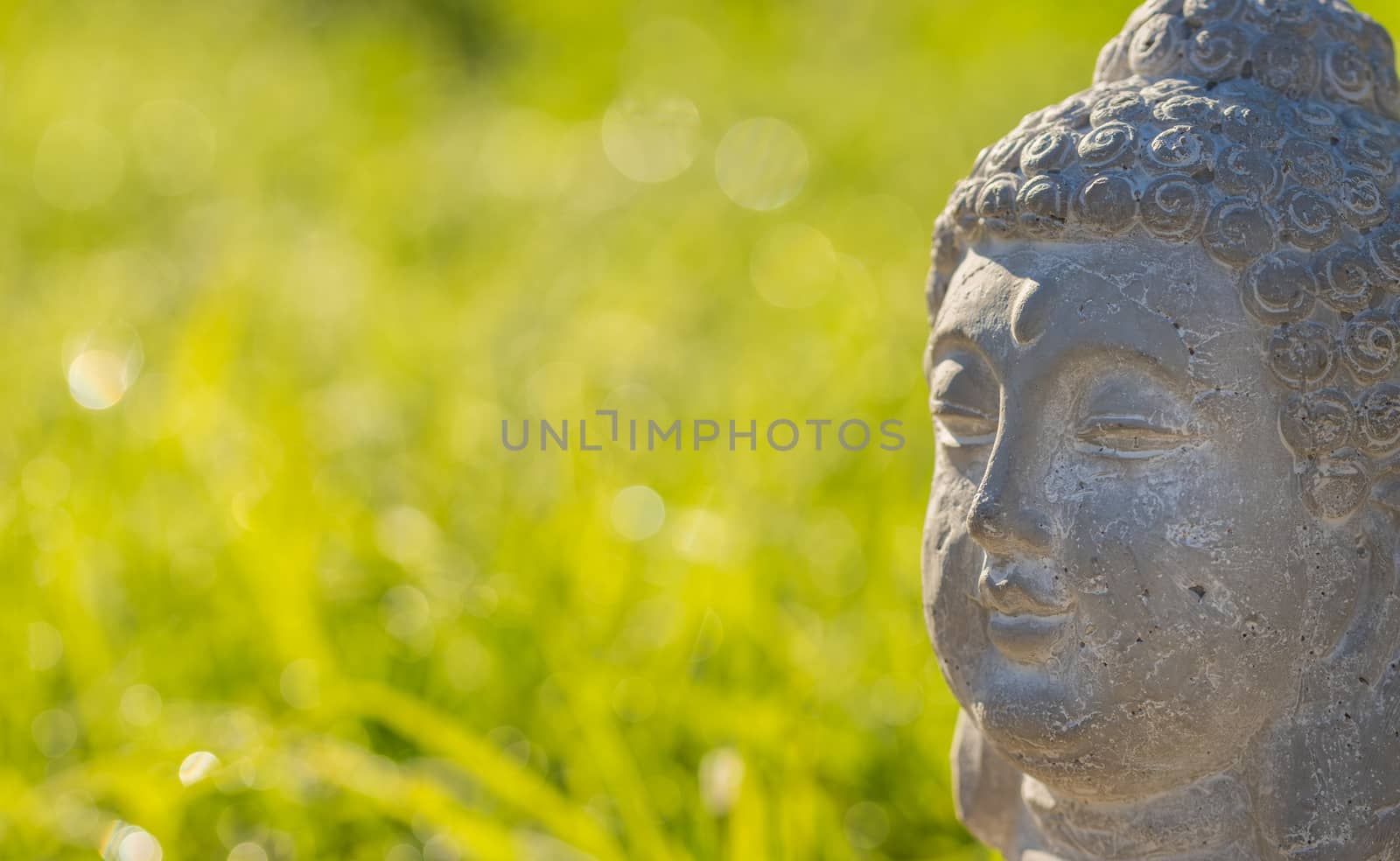 Close-up of buddha head statue with green grass background