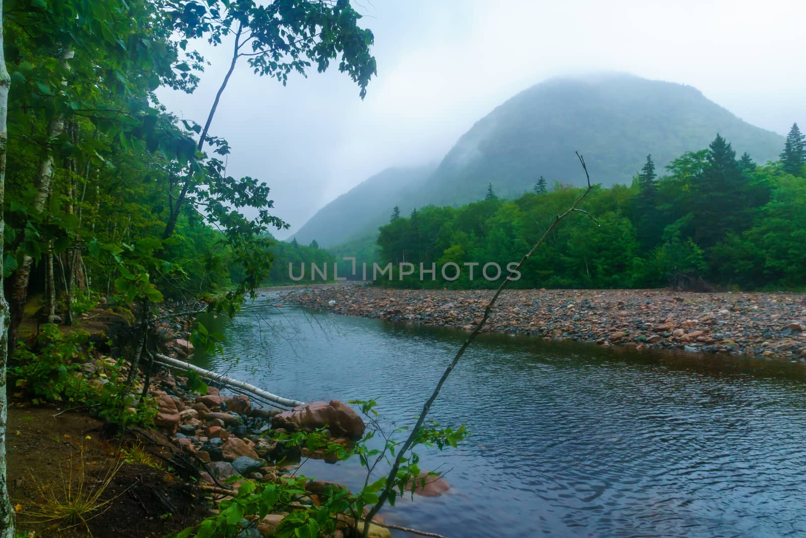 View of the Cheticamp river, in Cape Breton Highlands National Park, Nova Scotia, Canada