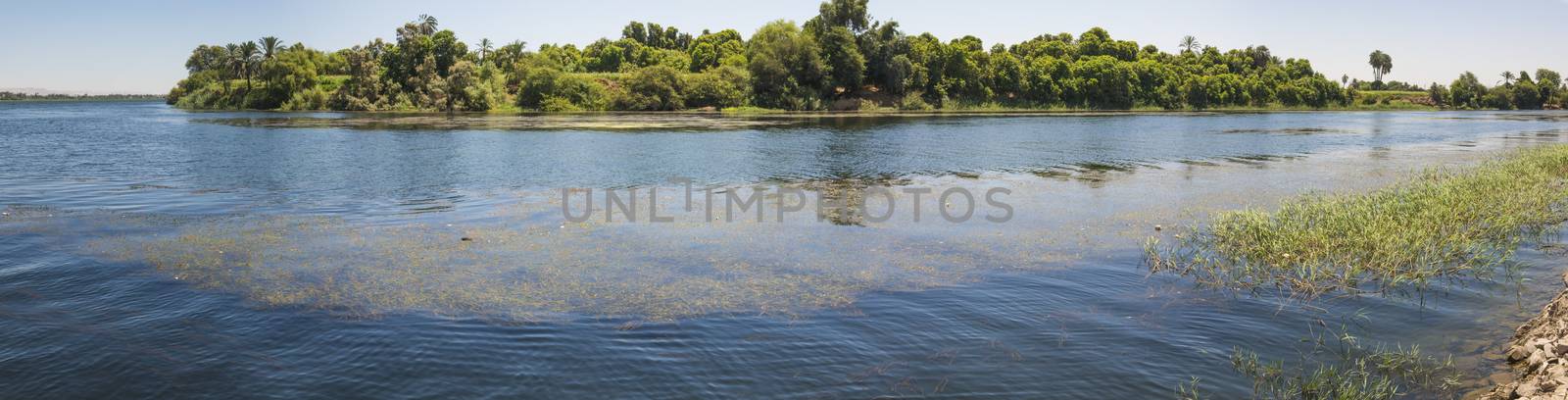 Panoramic landscape rural countryside view of large river nile with island and grass reeds