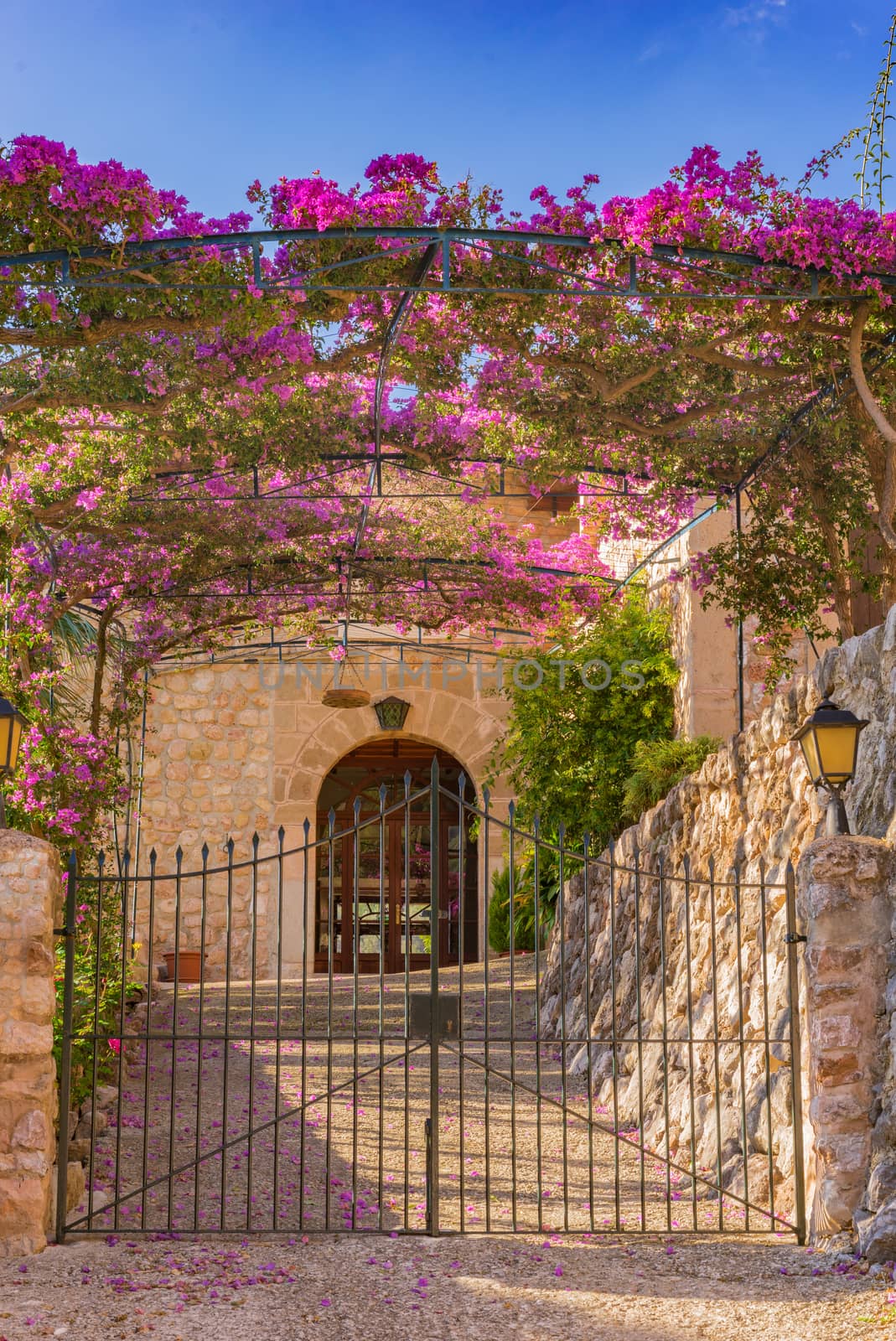 Romantic entrance with beautiful bougainvillea of an mediterranean house by Vulcano