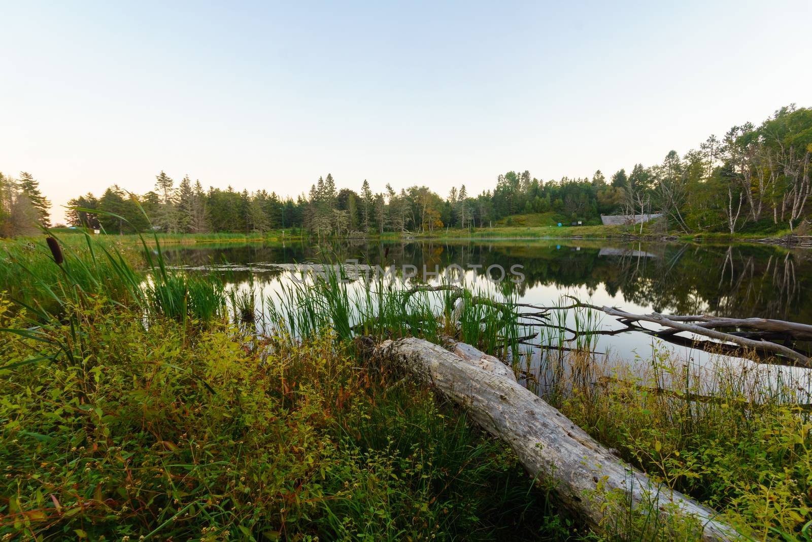 Sunset view of the MacLaren pond, in Fundy National Park, New Brunswick, Canada