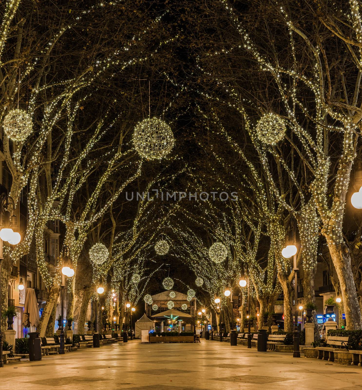 Illuminated street at Christmas in Palma de Majorca, Spain Balearic islands
