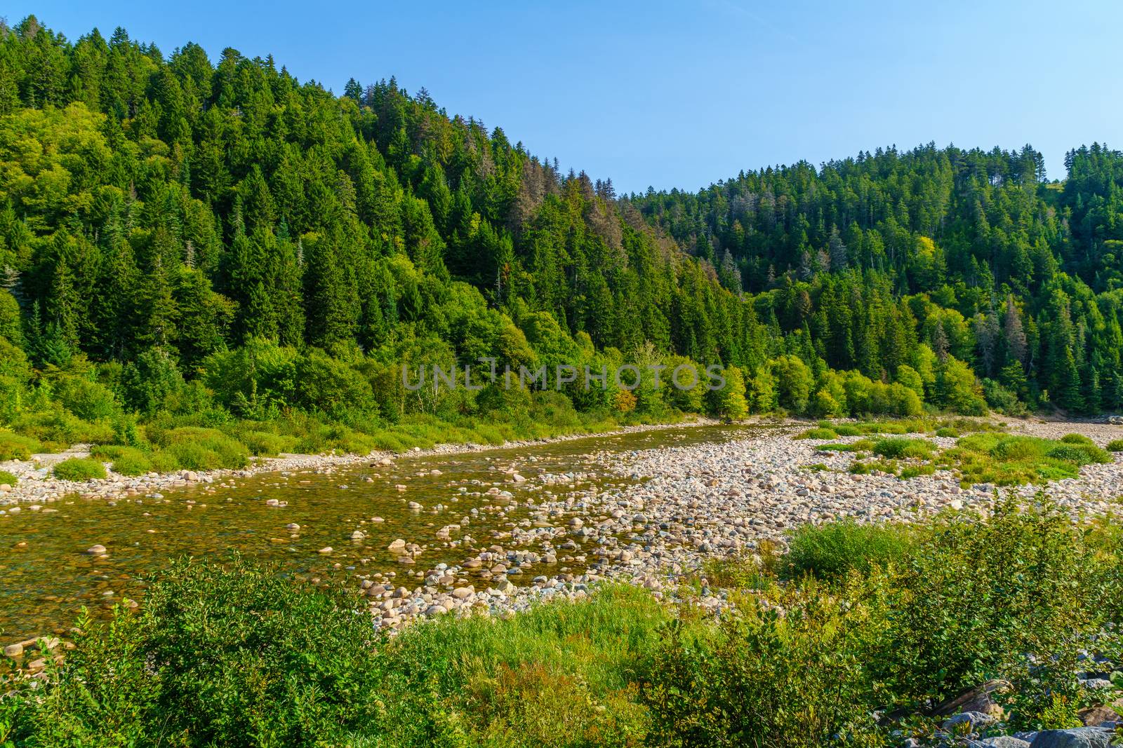 View of the Big Salmon River, in Fundy Trail Parkway park, New Brunswick, Canada