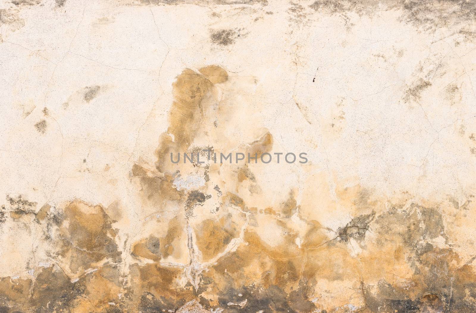 Close-up of damaged wall plaster background texture