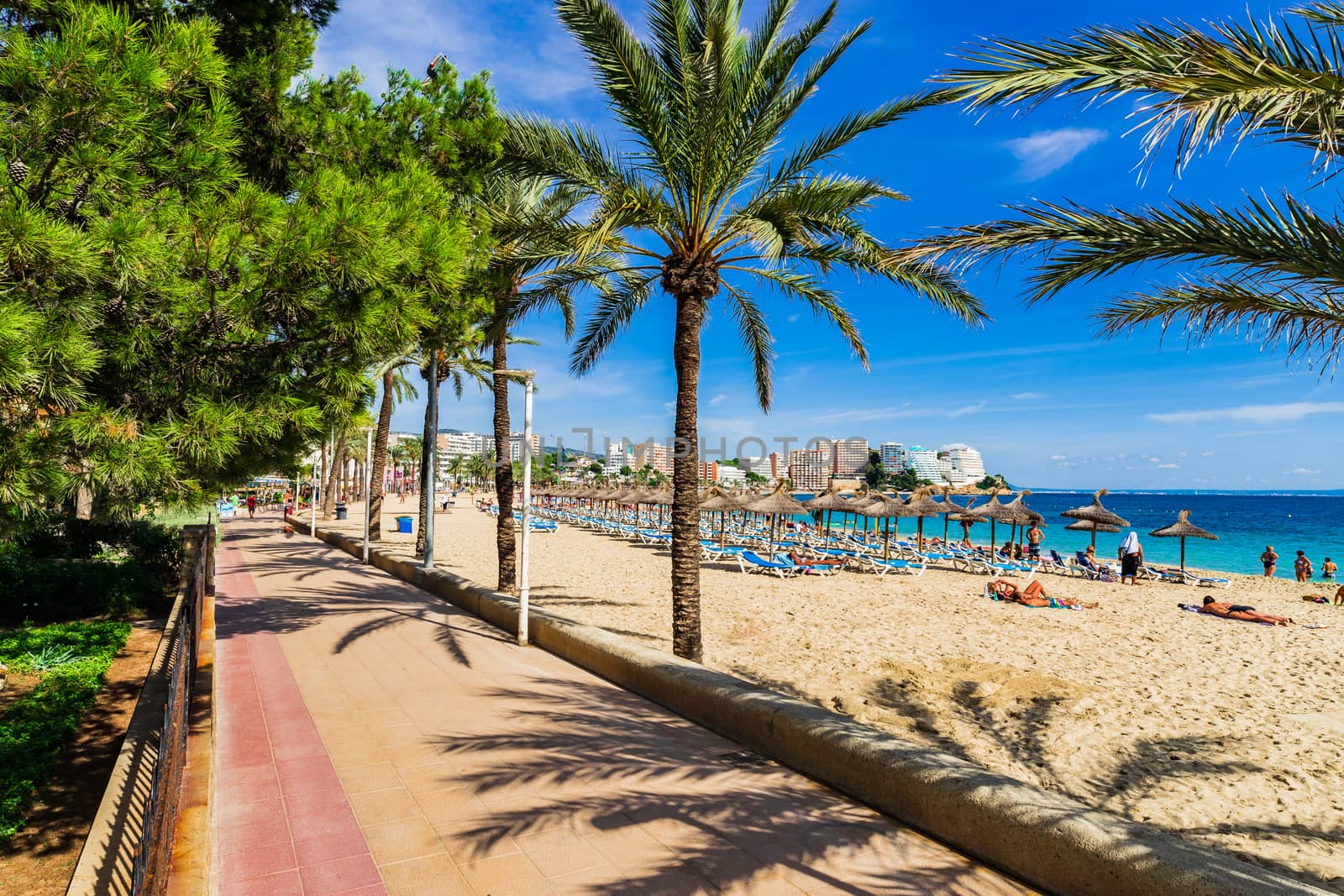 Sand beach with palm tree pormenade in Magaluf on Mallorca, Spain Balearic Islands