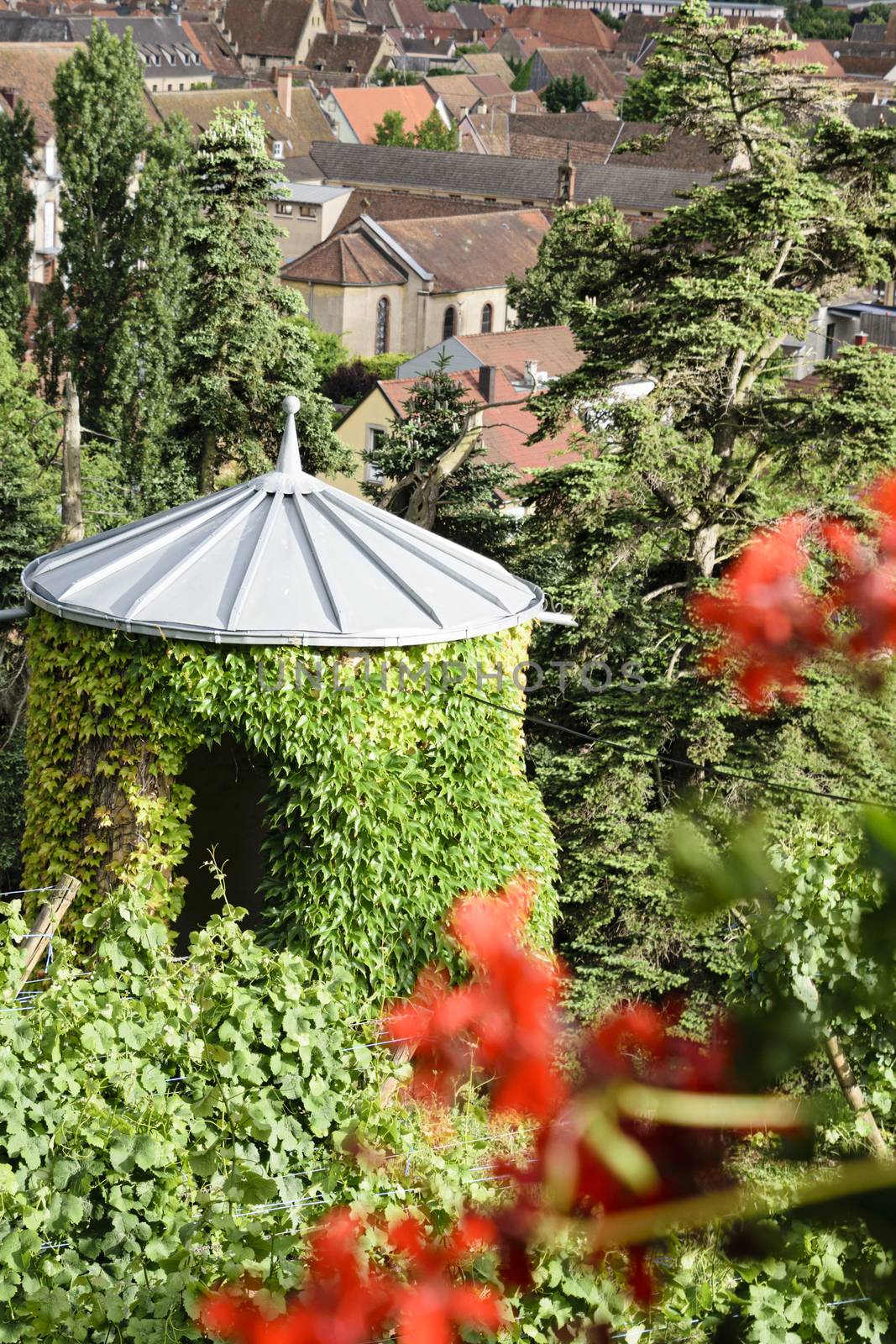 France, Alsace, June 2015: Vine covered turret leading from chateau to the medieval French village below