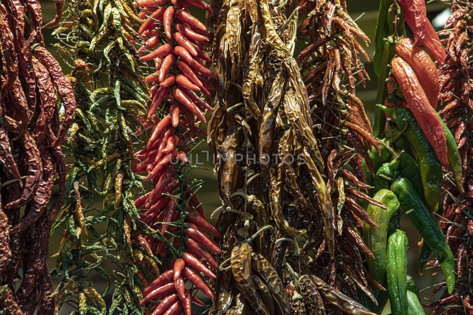 Spain, Barcelona - May 2018: hanging chains of dried chillies