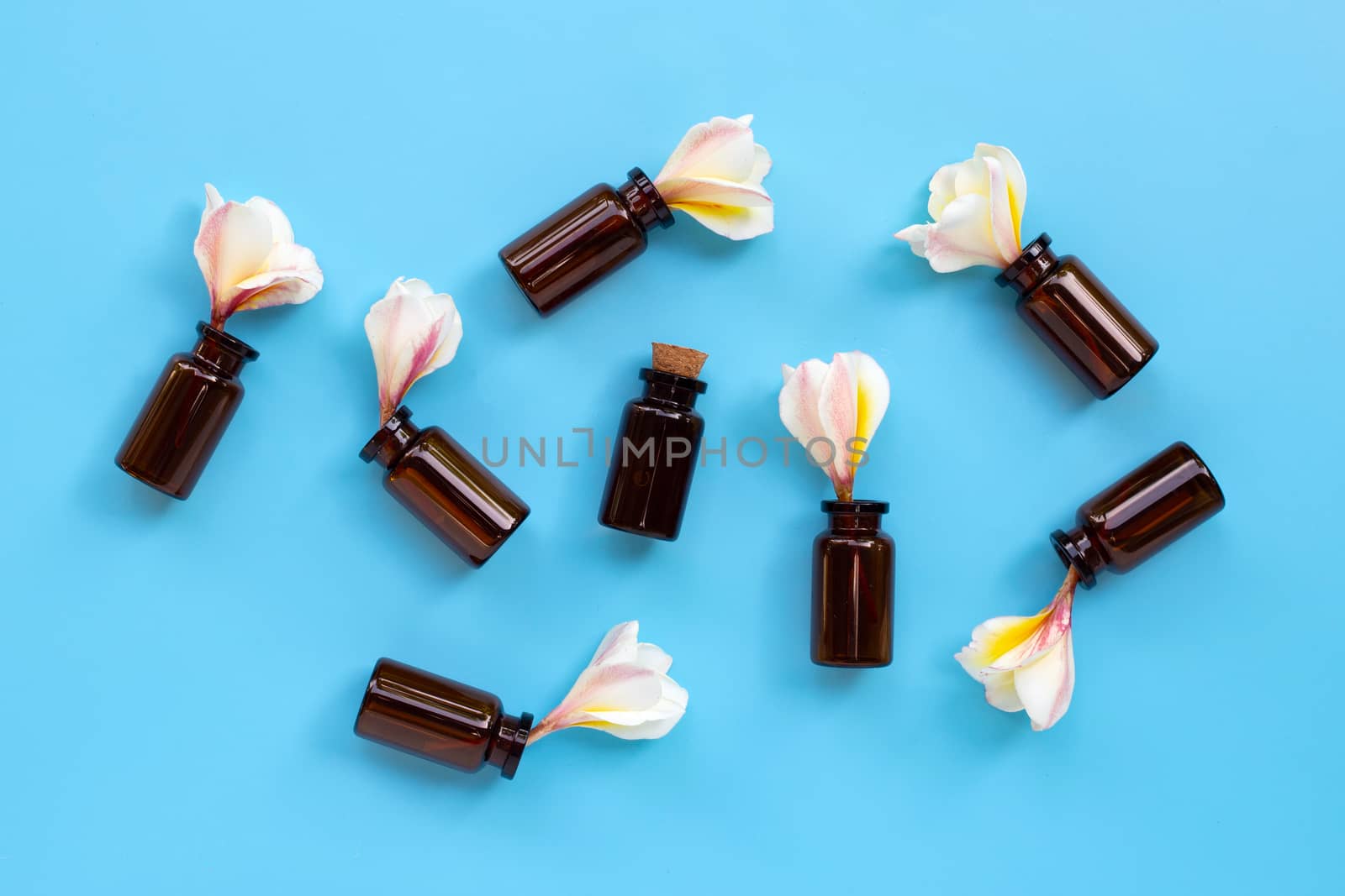 Essential oil with plumeria or frangipani flower on blue background. Top view