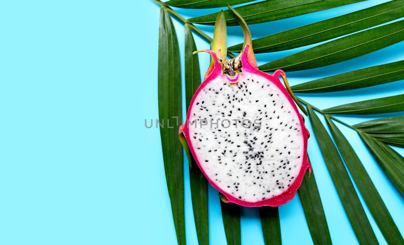 Ripe dragonfruit or pitahaya on tropical palm leaves. Top view