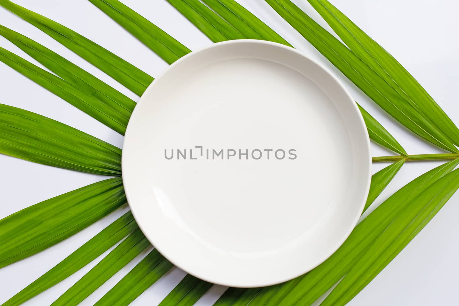 Empty white ceramic plate on tropical palm leaves on white background. Top view