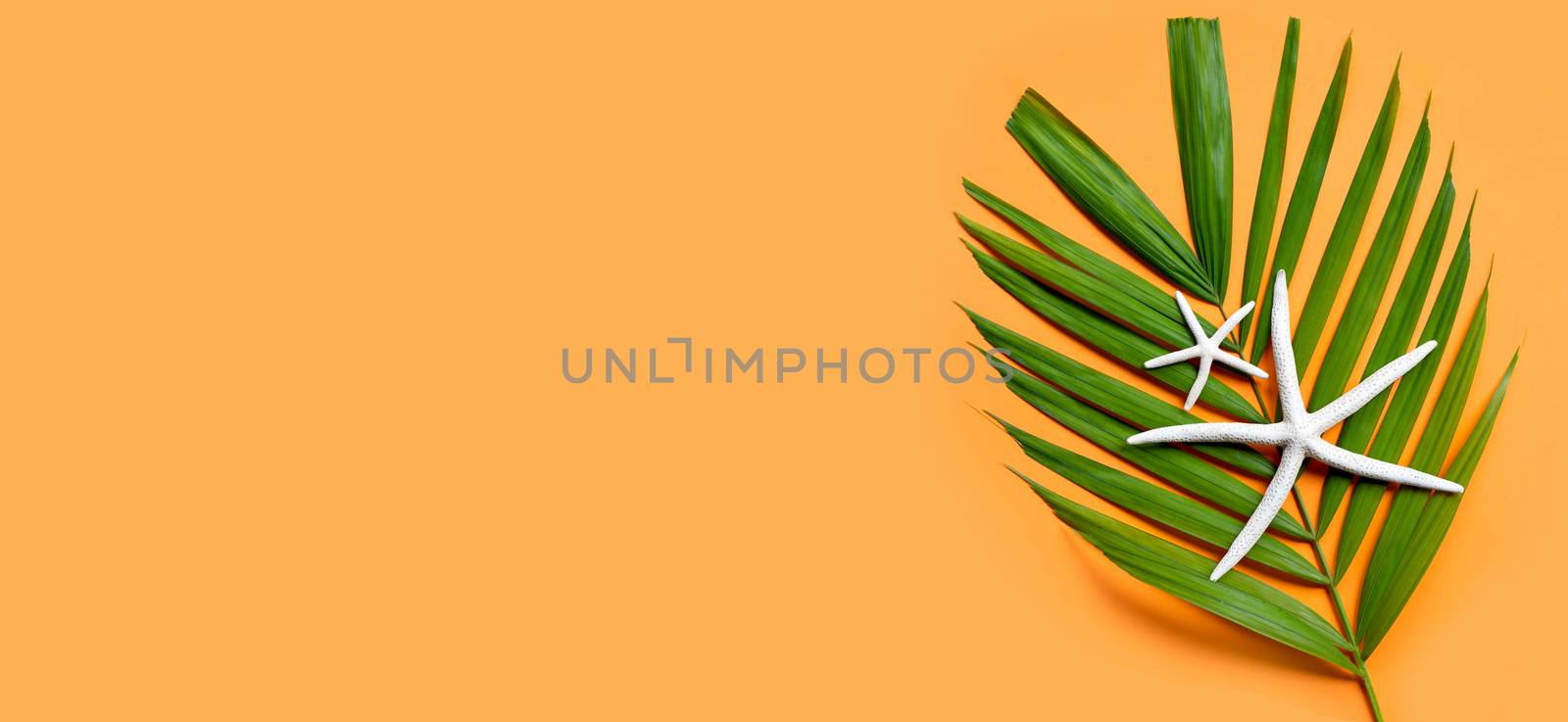 Starfish on tropical palm leaves on orange background. Enjoy summer holiday concept. by Bowonpat