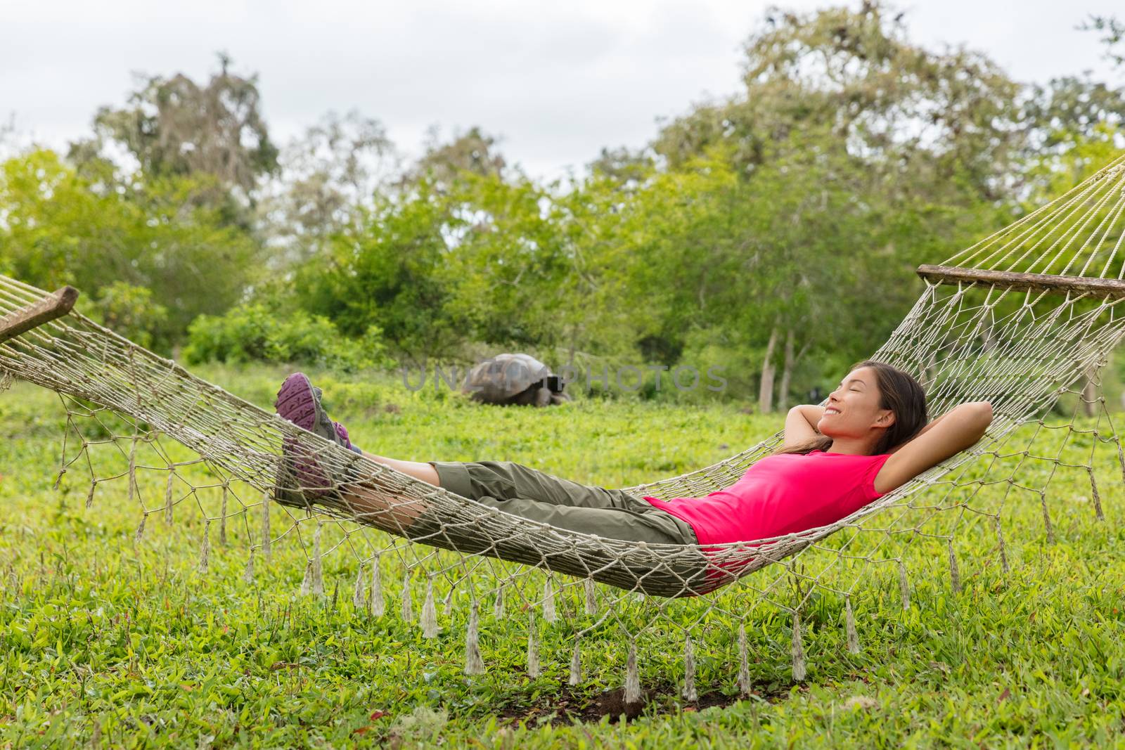 Ecotourism Travel adventure on Galapagos Islands. Tourist woman relaxing in hammock by Giant Tortoise Santa Cruz Island in Galapagos Islands. by Maridav