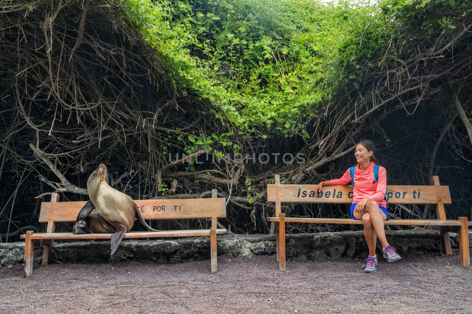 Galapagos animals. Tourist woman sitting on bench with sea lion and iguana on Isabela Island in the port of Puerto Villamil, Galapagos Islands, Ecuador, South America. by Maridav