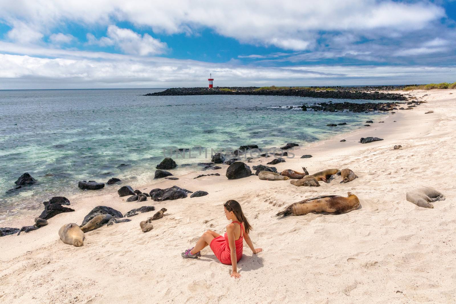 Galapagos tourist enjoying wildlife in nature looking sitting by many Galapagos Sea Lions on cruise ship adventure travel holidays vacation, Mann Beach (Playa Mann), San Cristobal, Galapagos, Ecuador.