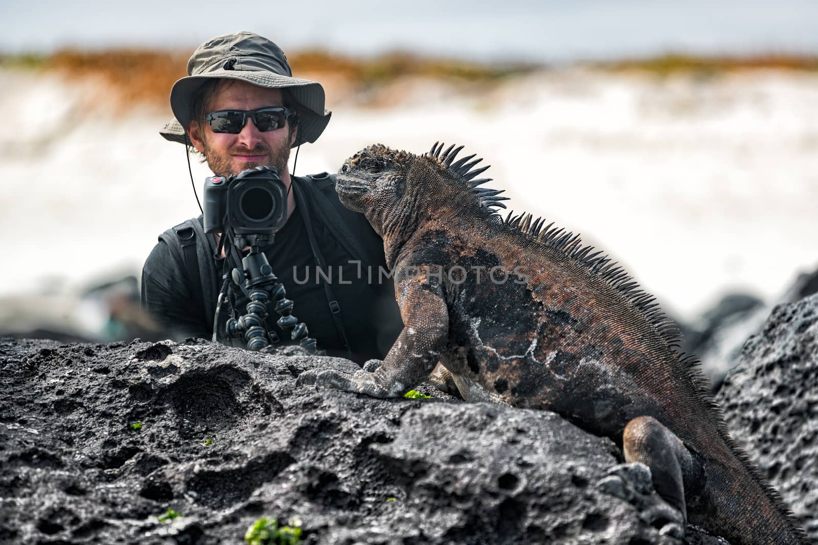 Galapagos Iguana and tourist nature wildlife photographer taking picture by Maridav