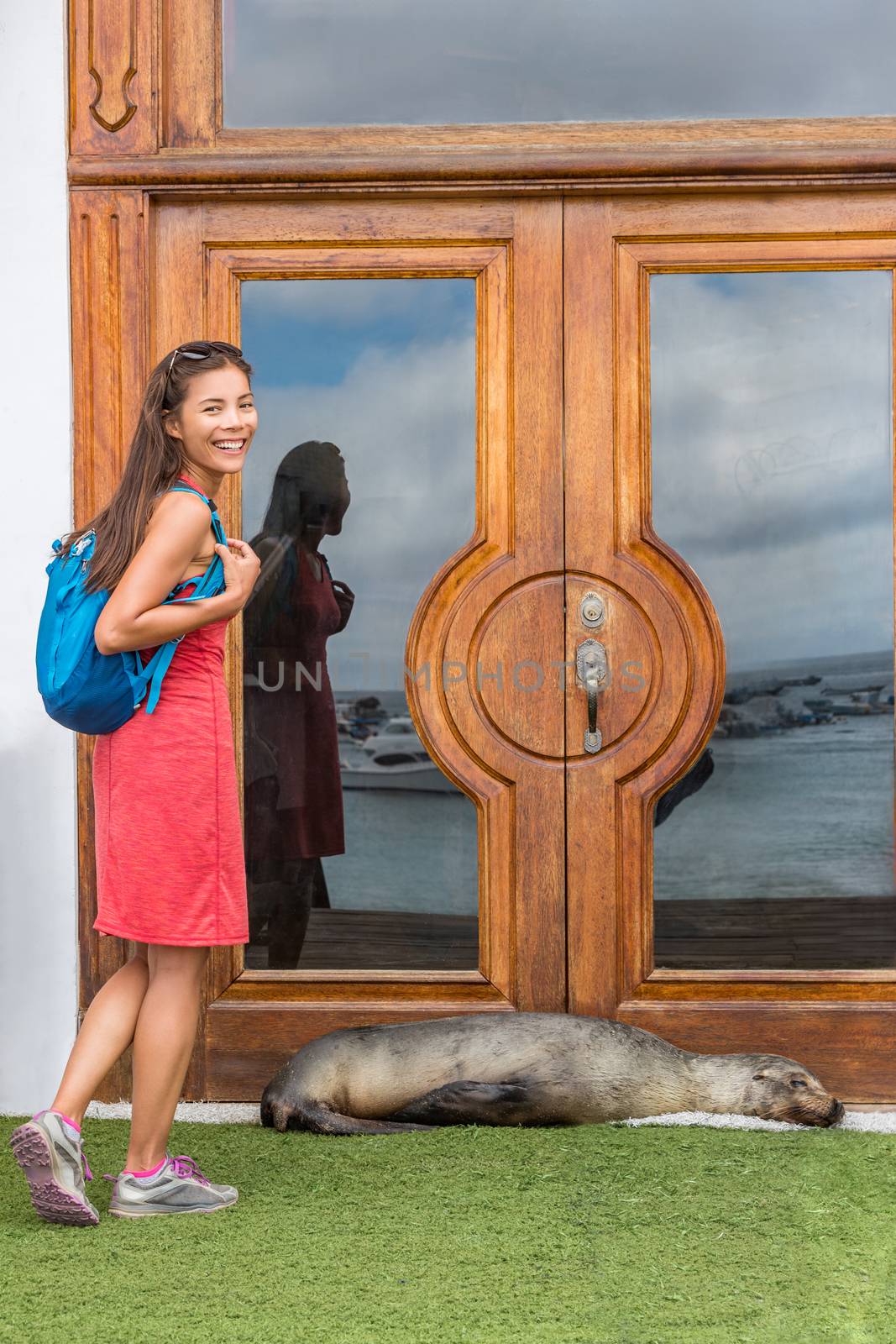 Galapagos tourist funny image with sea lion blocking door to hotel resort by Maridav