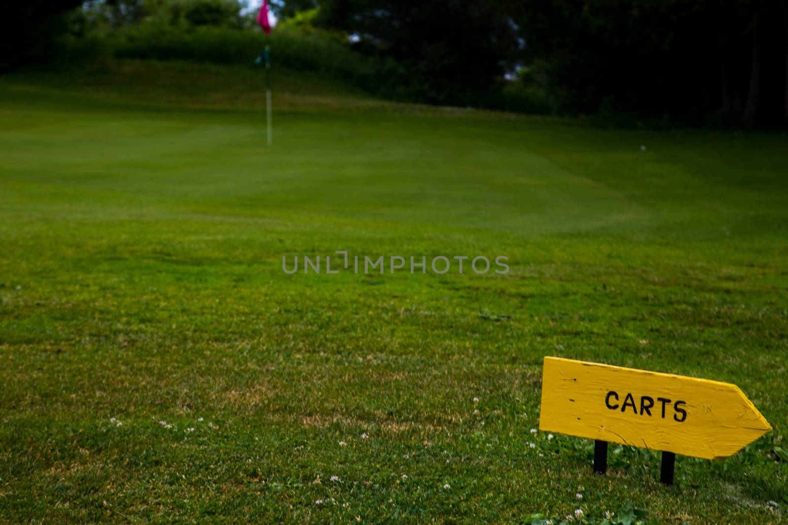 A yellow wooden handmade sign on a golf course directs golf carts away from the green with an arrow.