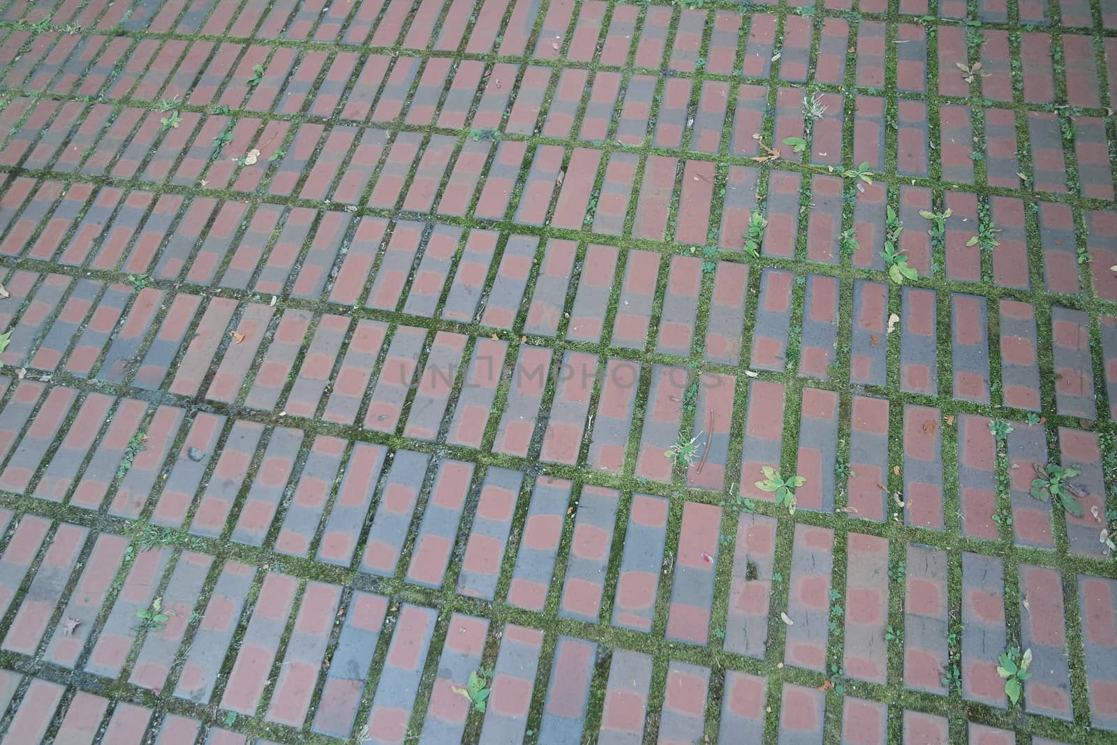 Closeup texture of brick floor. A background of a weathered old exterior brick floor with copy space for text