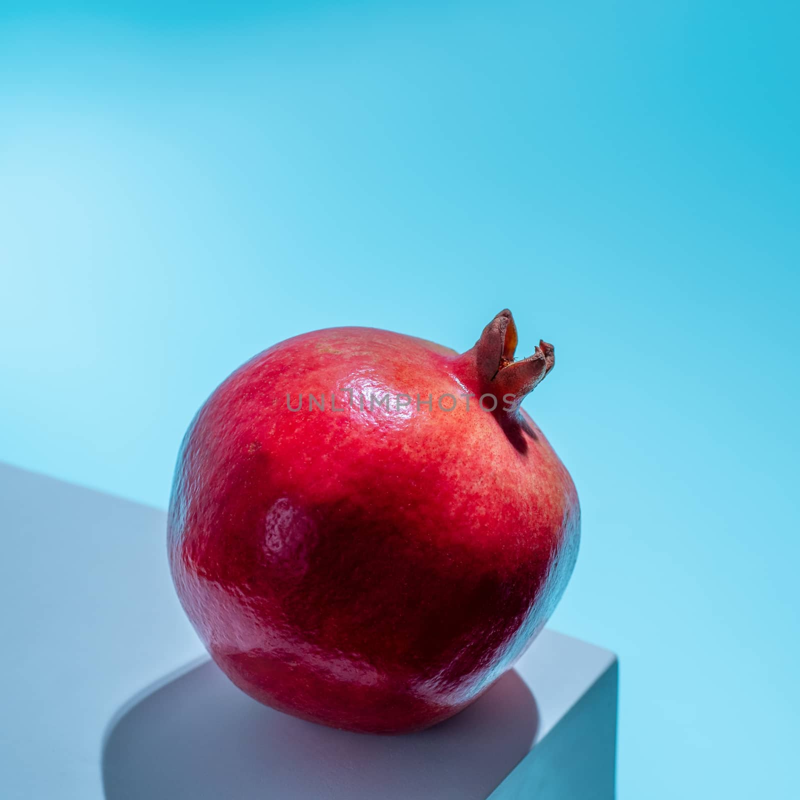 Pomegranate art on blue background by fascinadora