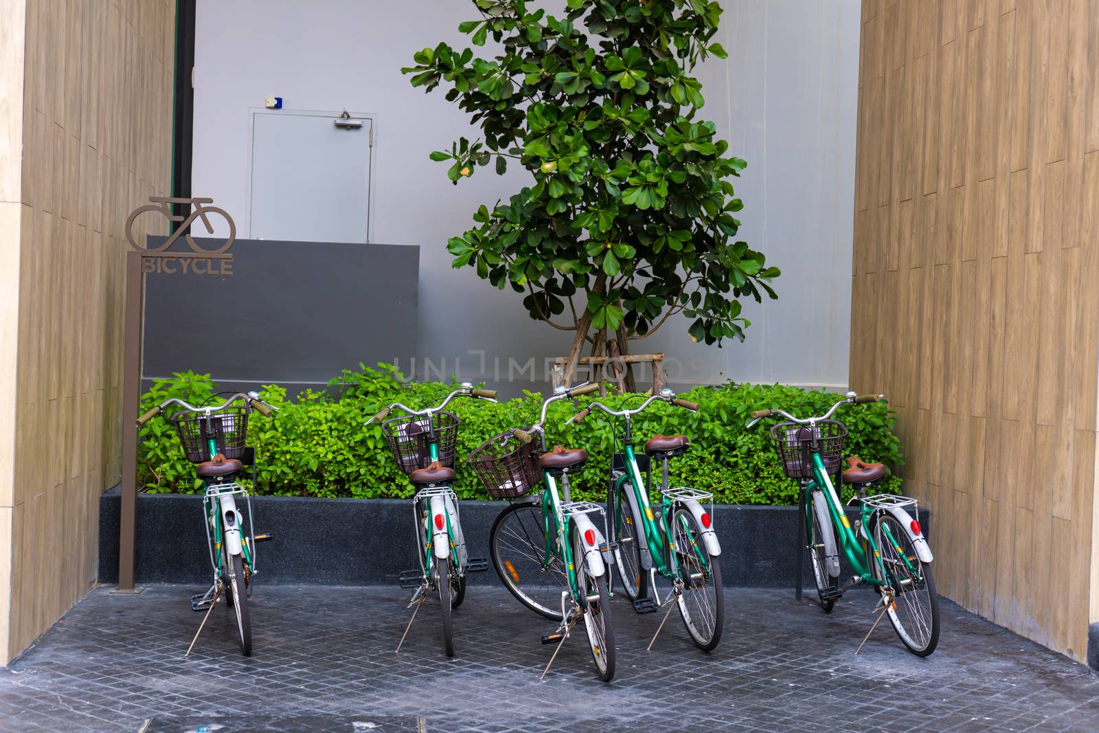 Bicycle parking near a green tree close up by Try_my_best