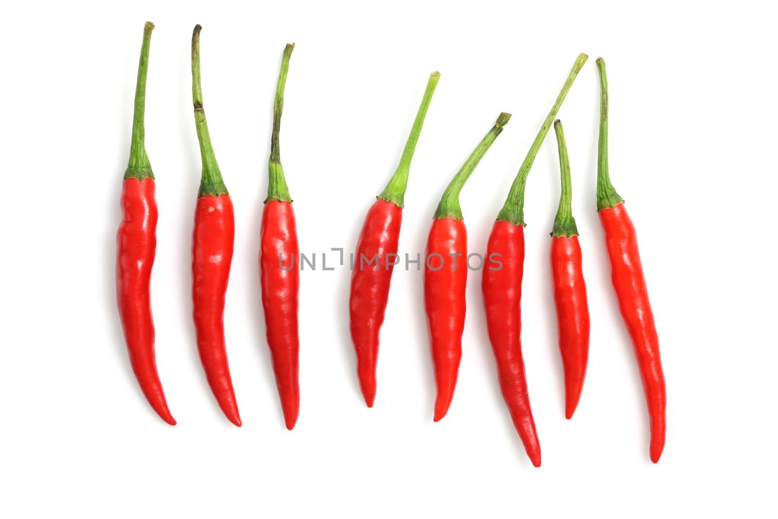 Red hot chili pepper isolated on a white background  by piyato