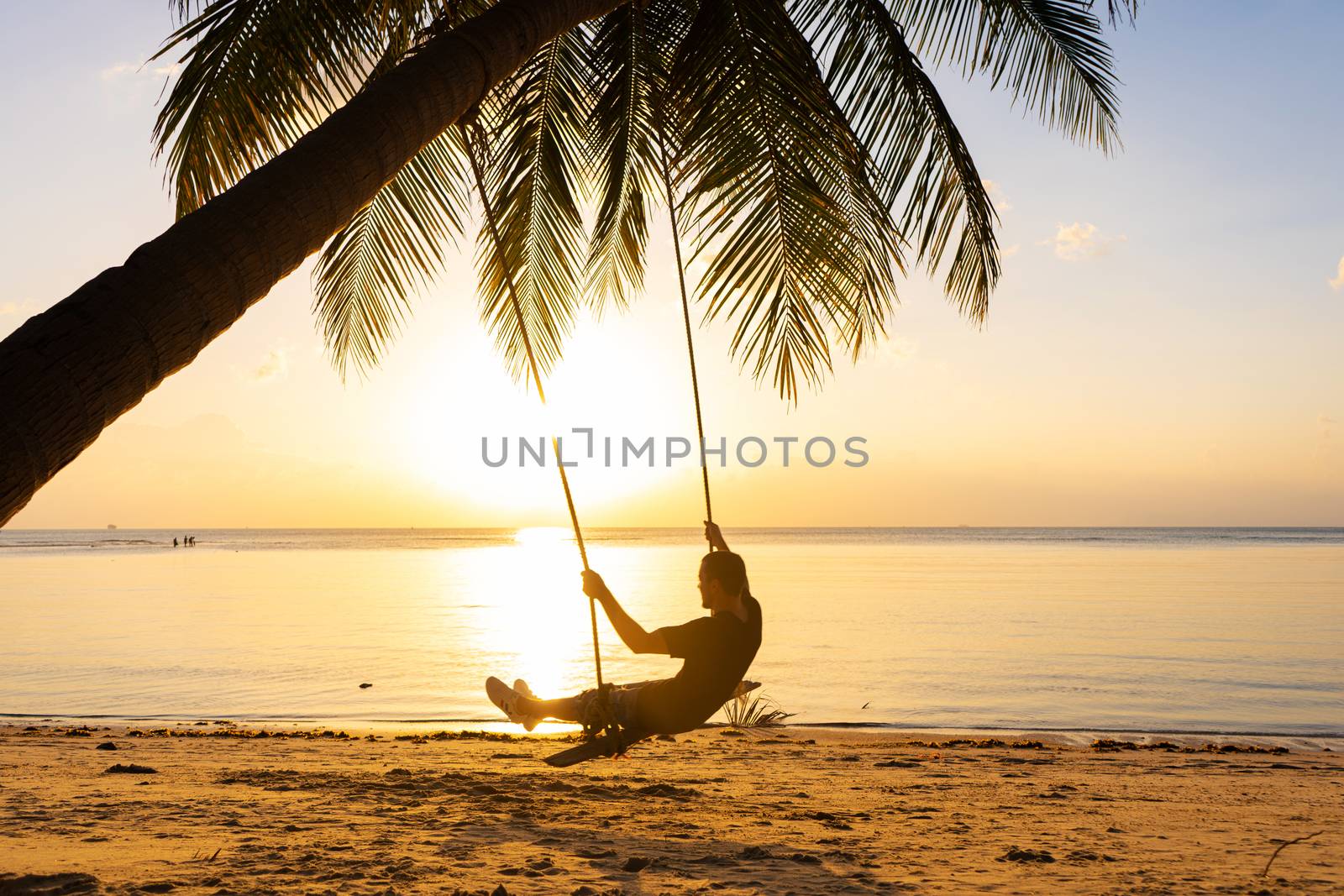 The guy enjoys the sunset riding on a swing on the ptropical beach. Silhouettes of a guy on a swing hanging on a palm tree, watching the sunset in the water. by Try_my_best
