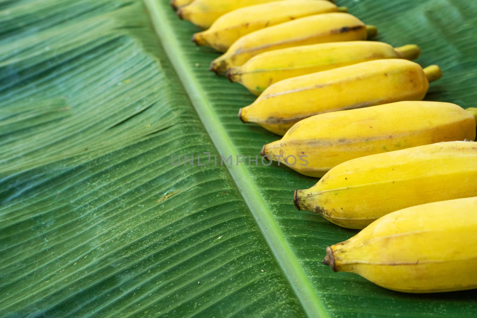 Flat lay layout of yellow bananas on a green banana leaf. Eco food by Try_my_best