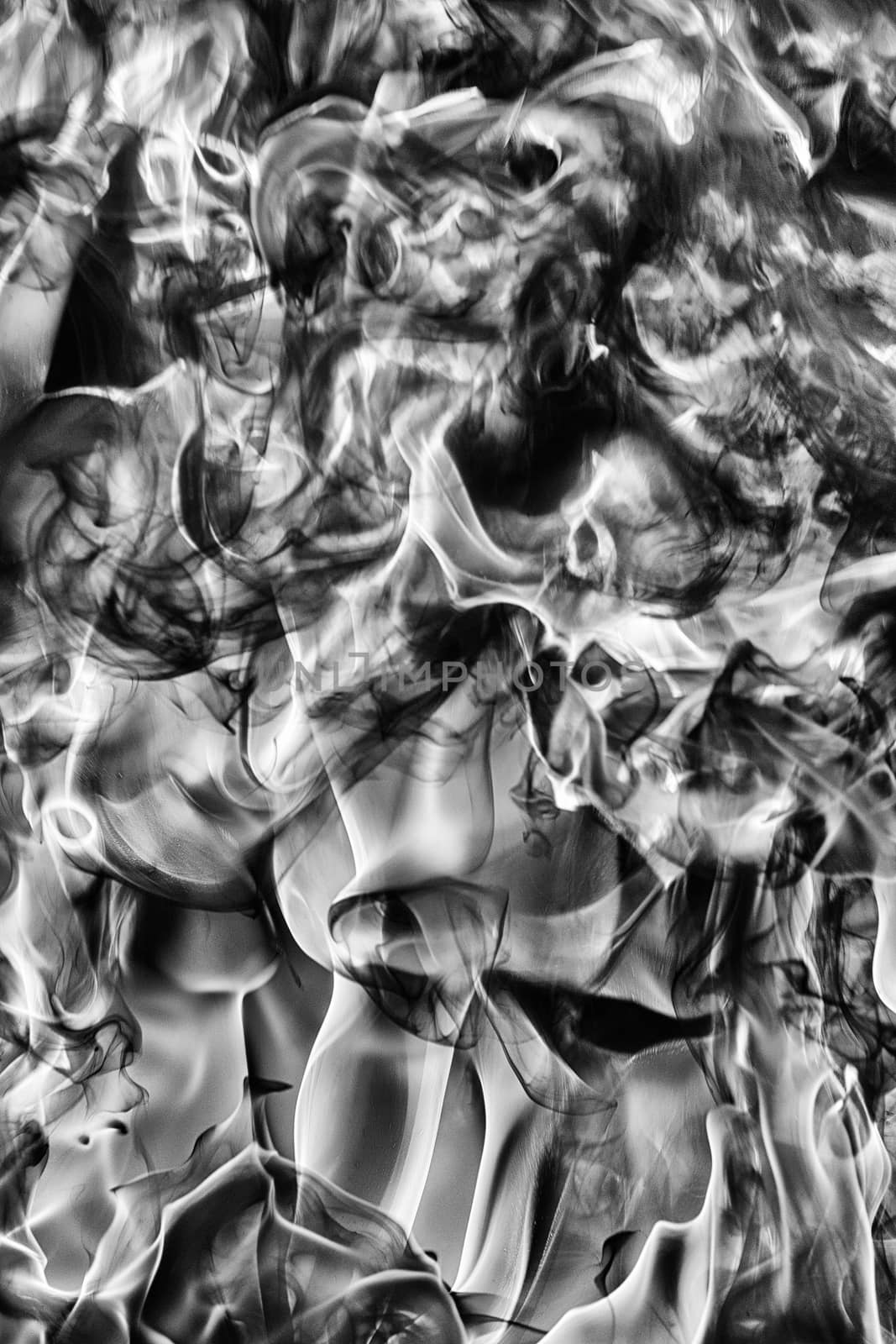 Abstract clouds of natural black smoke and white huge flame of strong fire. Dangerous firestorm abstract texture. Black and white photography by Alexander-Piragis