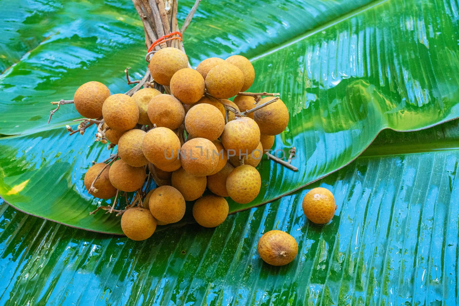 A bunch of longan branches on a background of green banana leaf. Vitamins, fruits, healthy foods by Try_my_best