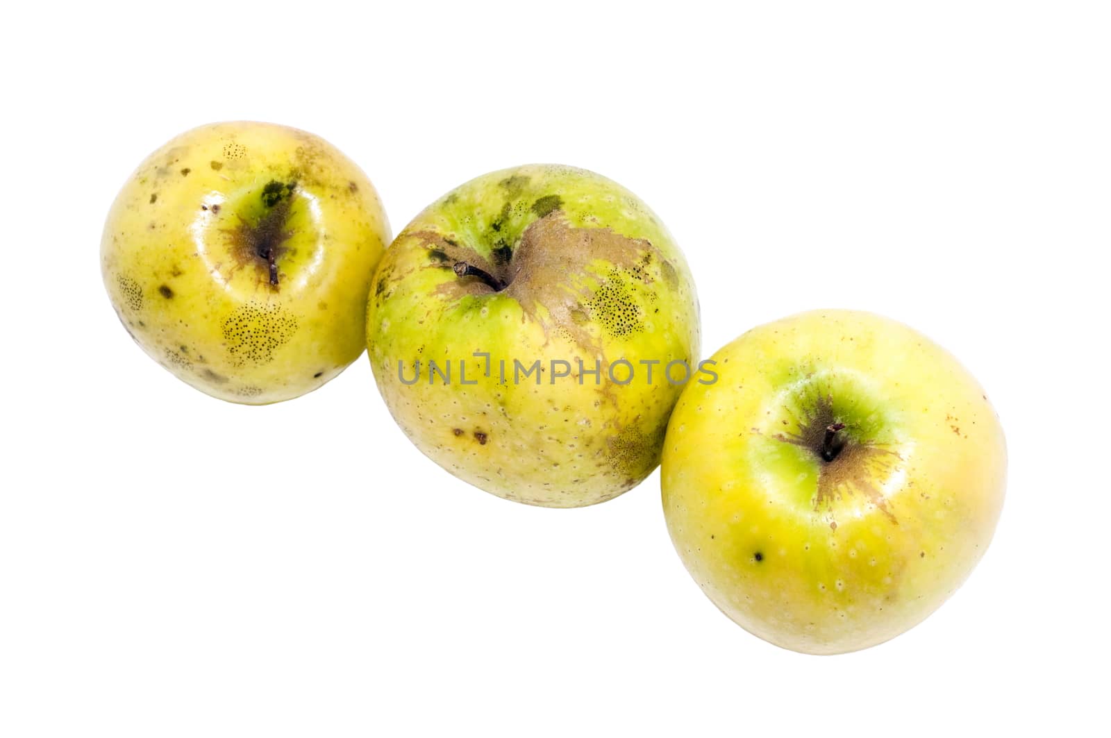 three yellow organic apples on a white background