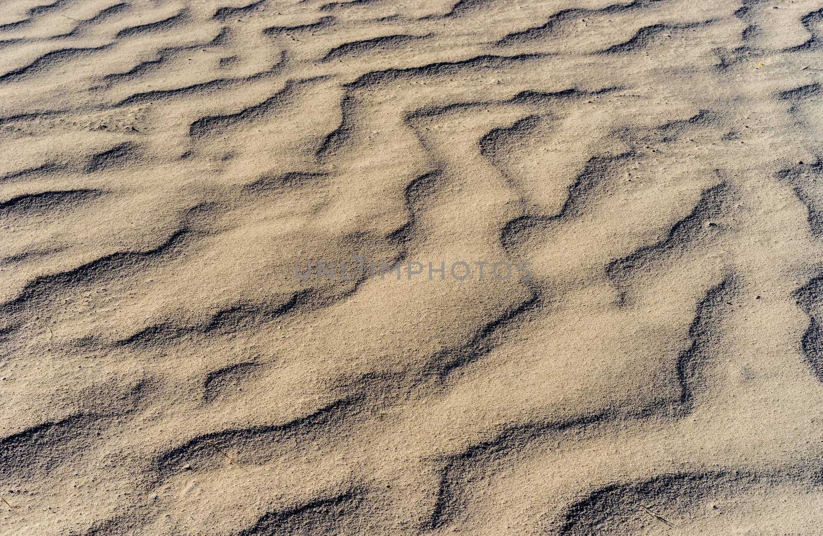 Close-up of beach sand background texture