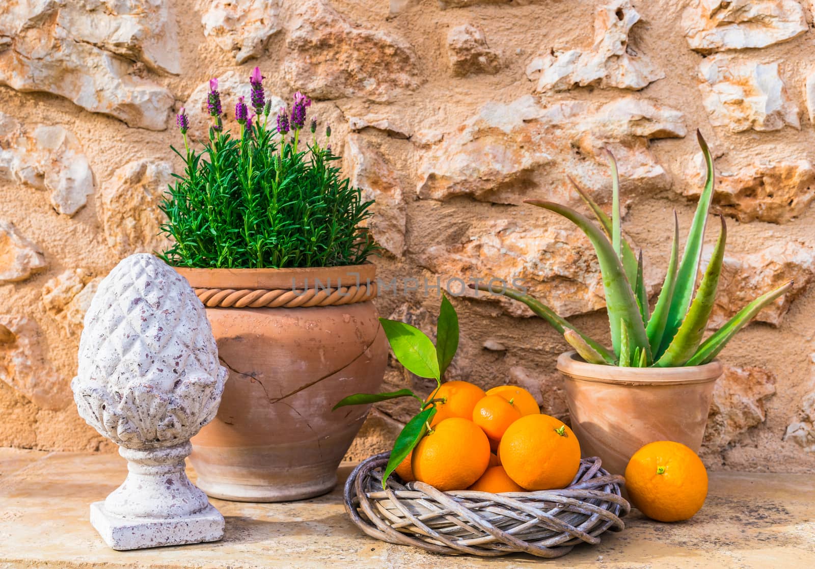 Beautiful provence mediterranean style decoration with lavender and tropical fruits