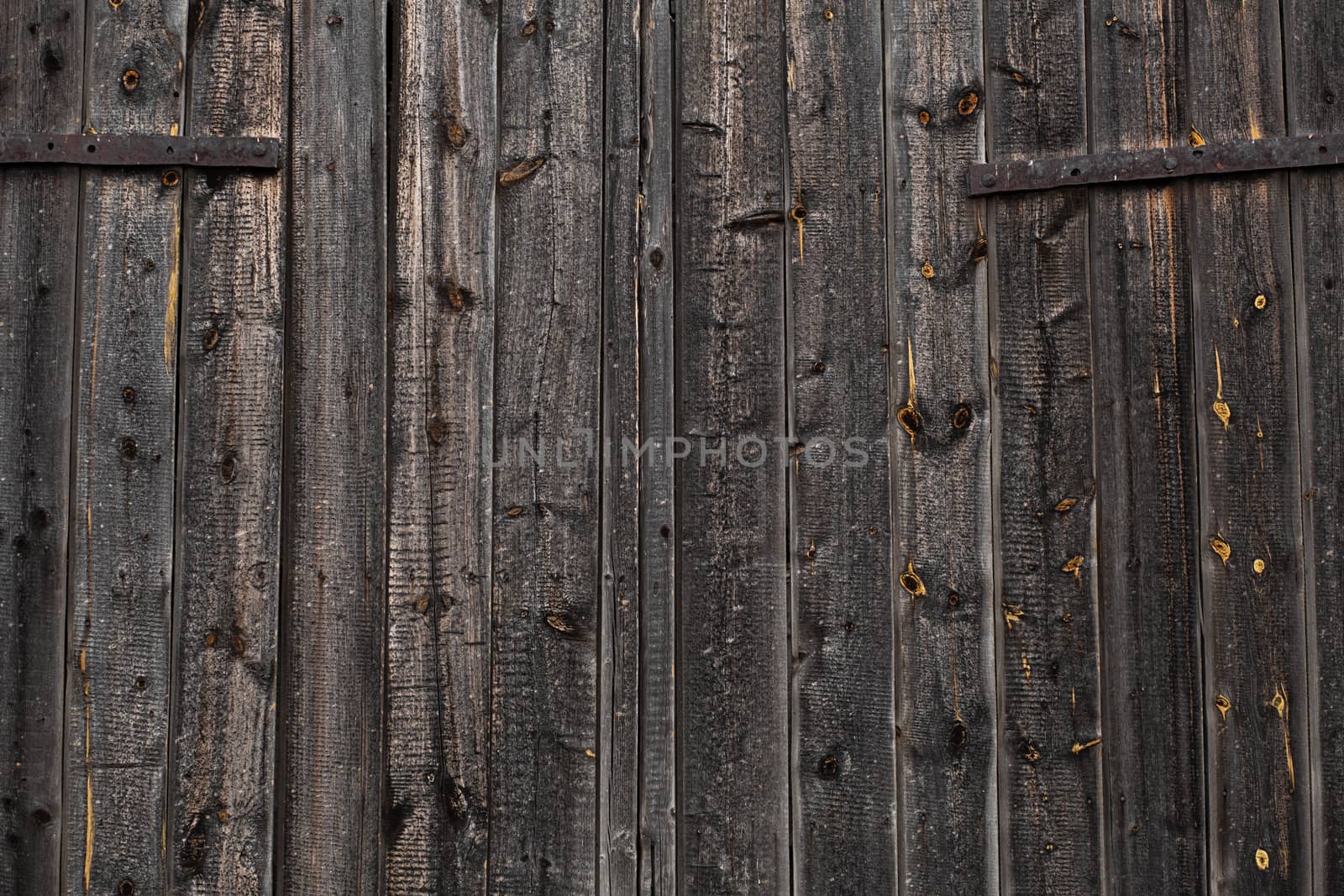 Close-up Large wooden gate and dried wood. Wood plank texture.