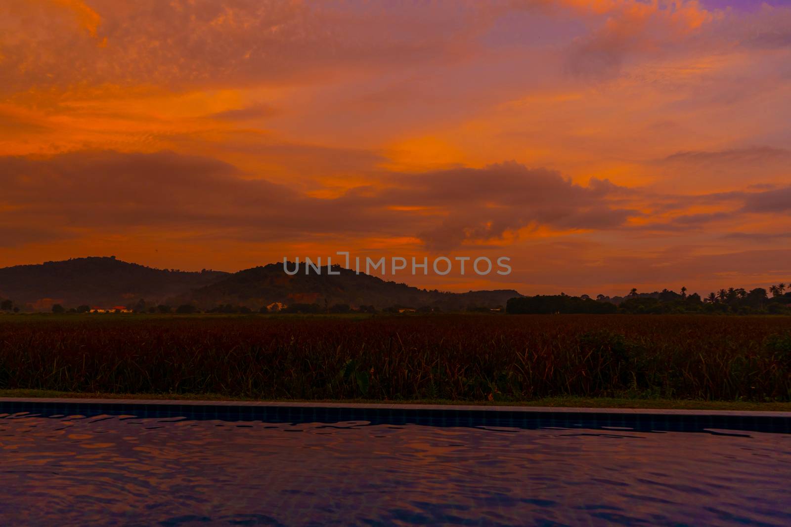 Unusual orange fiery sunset in the tropics. View from the pool to a rice field and mountains.