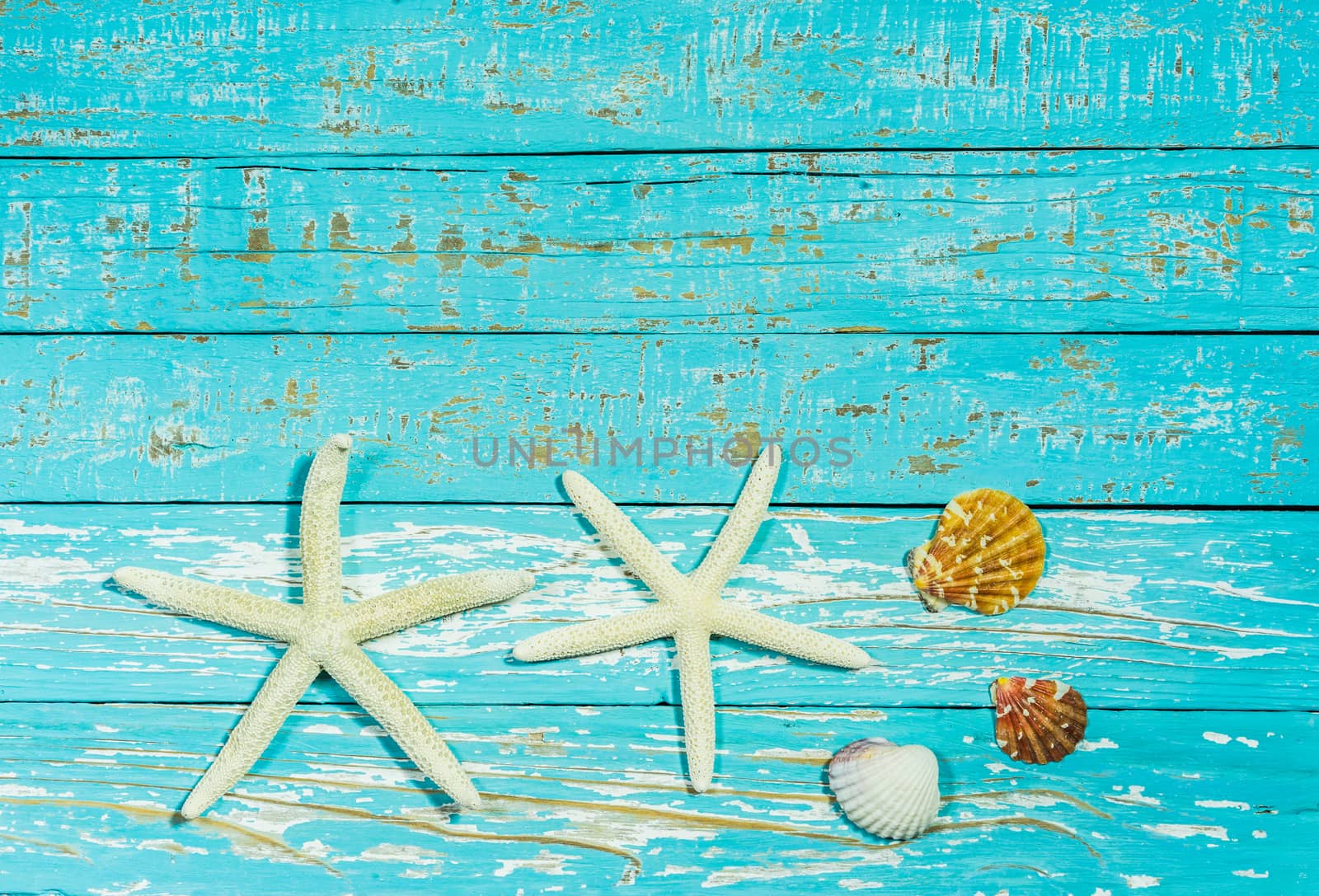 

Summer background decoration with starfish and seashell on blue wood