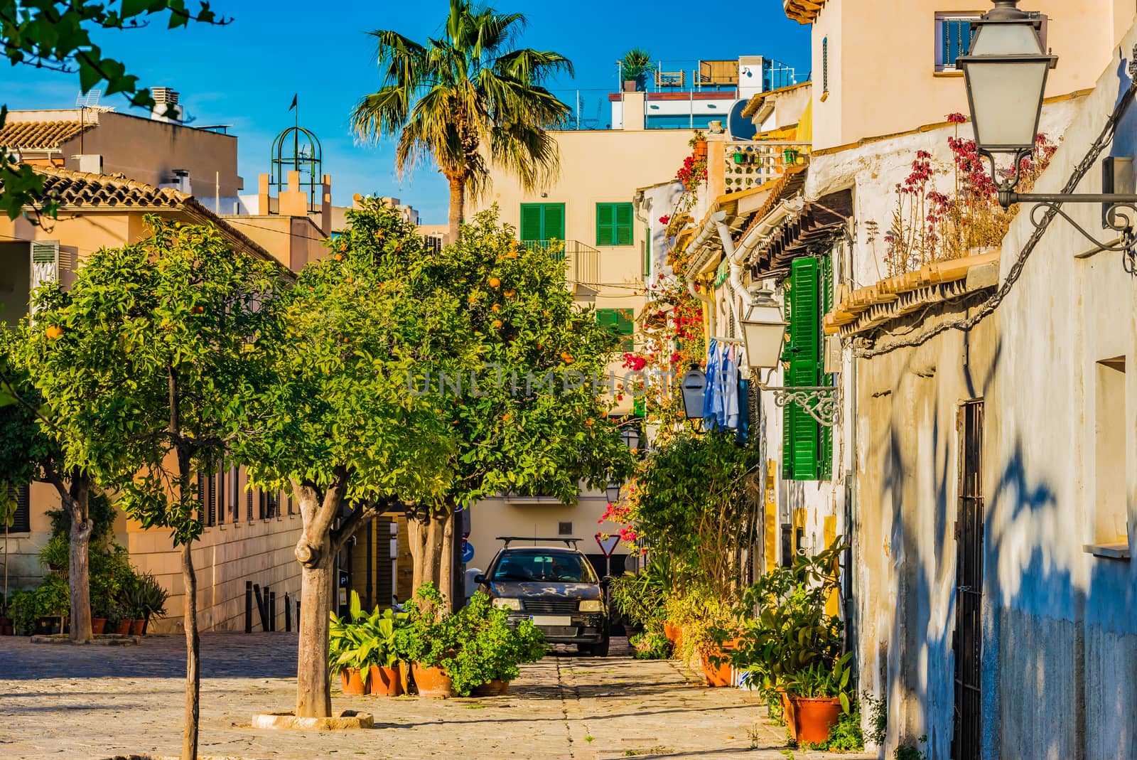 Mediterranean old town of Palma de Majorca, Spain by Vulcano