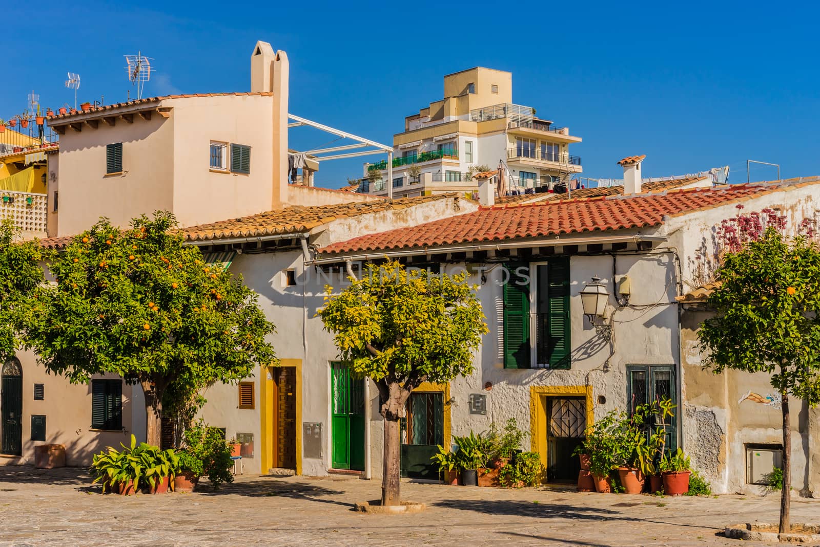 Mediterranean old town of Palma de Majorca, Spain Balearic islands